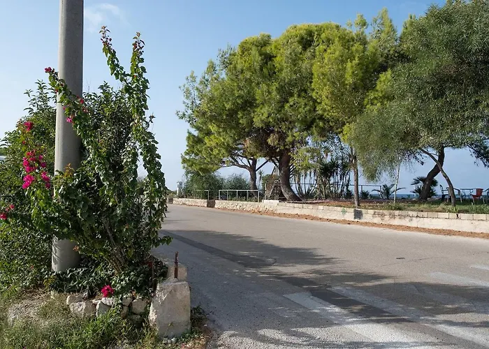 فيلة On The Sea *